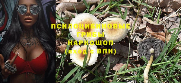 гашик Алзамай