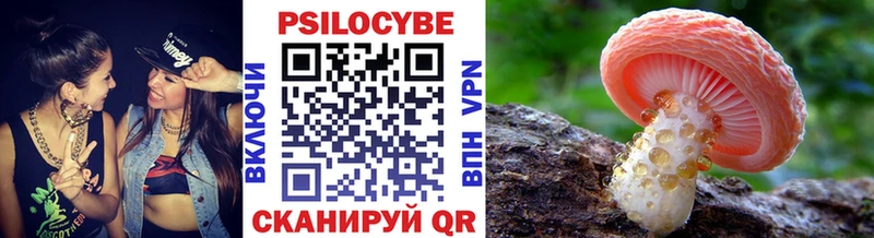 Псилоцибиновые грибы ЛСД  цены   Николаевск-на-Амуре 